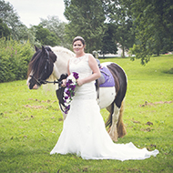 Image: wedding horse